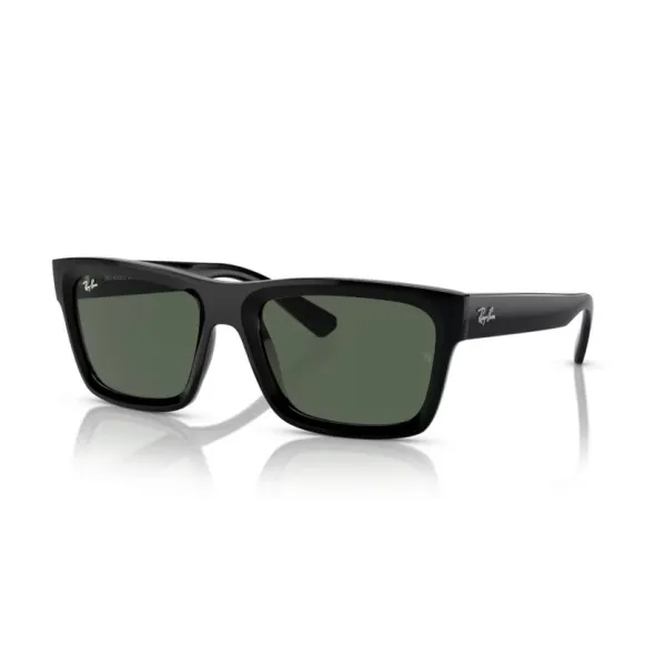 Ray Ban RB4396 Warren